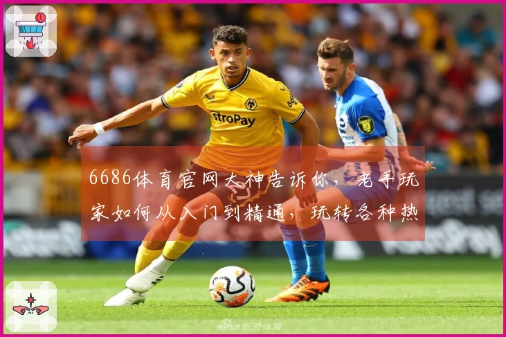 6686体育官网大神告诉你，老手玩家如何从入门到精通，玩转各种热门体育项目！